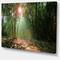Designart - Amazing Green Forest at Sunset - Landscape Canvas Art Print